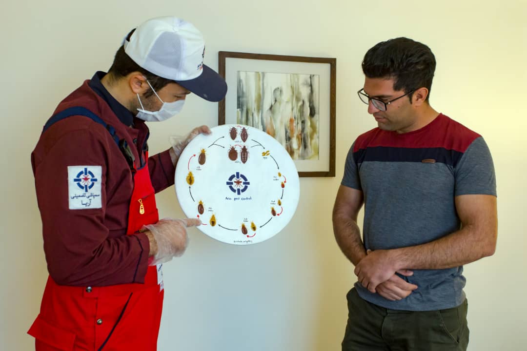 شناخت زندگی ساس شناخت زندگی ساس